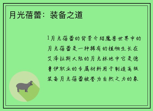 月光蓓蕾:装备之道